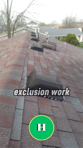 Exclusion work keeps animals out!