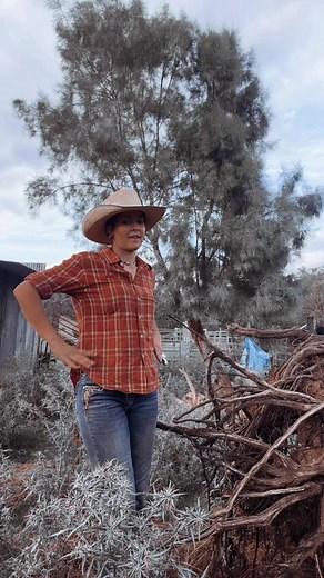 Explore Western Makeup Style Techniques