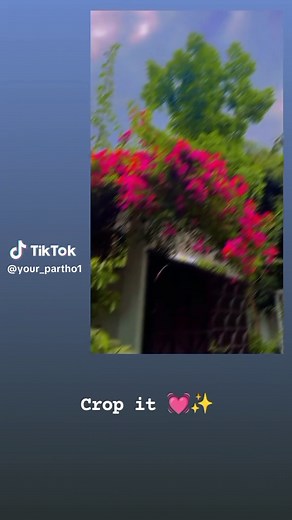 Crop it 💓✨ #your_partho1 #backgroundvideo @TikTok @TikTok Bangladesh @#foryou