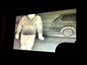 Cadillac L3/Raytheon Thermal Camera Test #1