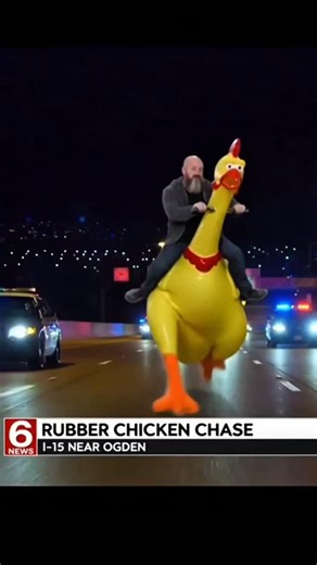Weber County - Ogden, Utah man led Utah Highway Patrol on a high speed chase down I-15 on giant rubber chicken. #ogden #utah #webercounty #uhp #highspeedchase | Utah Satire