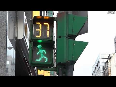 [信号]台北の信号機2 (歩行者用) Taipei traffic signal 2 (For Pedestrian)