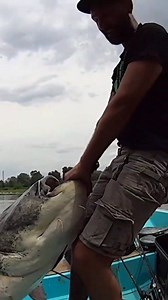 Prehistoric 230 lb fish caught on spinning | CatFish World by Yuri Grisendi