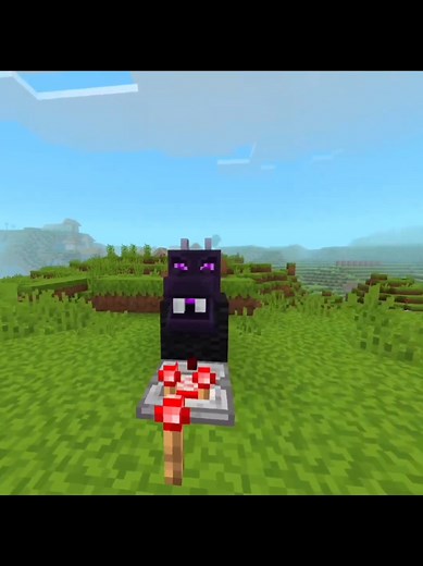 #minecraft #minecraftmemes #minecraftupdate #actionsandstuff #minecraftmods