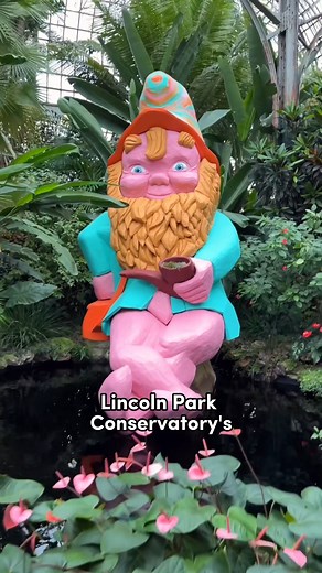 This is “Sweet Gnome Chicago”! 🌸 The Spring Flower Show at the Lincoln Park Conservatory is a whimsical world of nearly 300 gnomes hidden throughout gorgeous blooms. See vibrant spring flowering shrubs, perennials, annuals, bulbs and more as you try to spot all the sneaky gnomes. 📅 Through 5/12 FREE admission with required reservation 🎥: chicagoismyboyfriend via IG | Choose Chicago