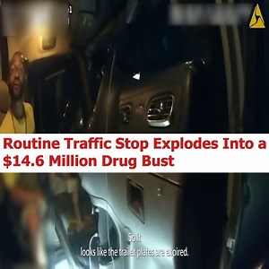1.6K views · 41 reactions |  Routine Traffic Stop Explodes Into a...