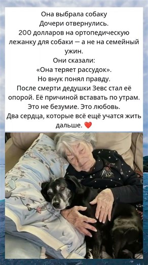 Дочери отвернулись из-за собаки | Но правда оказалась глубже