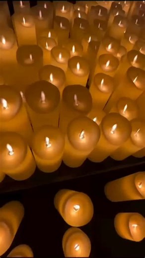 ✨ Experience the magic of music under candle lights! ✨ 18th October | 6 PM | Anand Bhavan Auditorium, CSIBER College, Kolhapur 🎟️ Limited seats! Scan the QR code and book your tickets now. #music #diwalivibes #diwalicelebration #songs #kolhapur #chaitanydevadhe | Dhananjay Mahadik MP Kolhapur