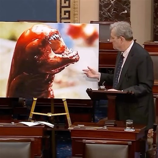 Alien the 8th Passenger on Instagram: "Senator John Kennedy posted a video where he claims: “If you eat some of the radioactive frozen shrimp that foreign countries are sending to America, you may end up looking like this picture from the movie, Alien!” #alien #alienmovie #xenomorph #chestburster #inspacenoonecanhearyouscream #aliencreature #spacecreature #extraterrestrials"