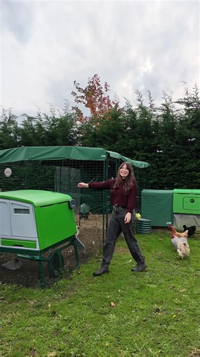 Your hens called - they want an Omlet coop. Built to last, easy to clean, and loved by both hens and keepers. Get 20% off this Black Friday. 🖤 | Omlet USA