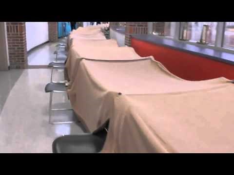 The Breaking of a World Record: The Largest Blanket Fort