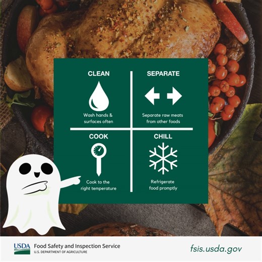 22 reactions · 24 shares | Don’t be haunted by foodborne pathogens – practice the 4 steps to food safety and ALWAYS cook food to the safe minimum internal temperature. More food safety basics: https://bit.ly/3rubRxh | FoodSafety.gov | Facebook