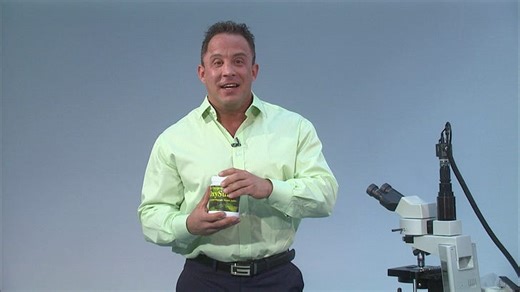 Organic MSM Overview