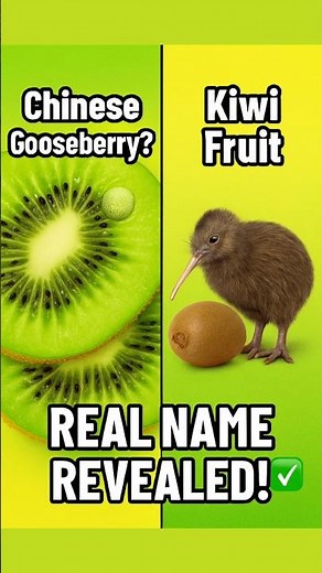 Discover the Hidden History of Kiwi Fruit in Just 5 Minutes