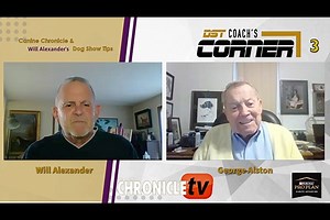 PREVIEW CLIP: Dog Show Tips- Coach's Corner Featuring George Alston Part 3 Watch the FULL video on Canine Chronicle TV: http://www.caninechronicle.tv/dog-show-tips-coachs-corner-featuring-george-alston-part-3/ Will Alexander Drops Some Knowledge About What’s Happening in the Sport of Dogs. It’s Deep… It’s Humorous… It’s Provocative… It’s Will Unfiltered! Will Alexander has an in-depth conversation with George Alston. | The Canine Chronicle