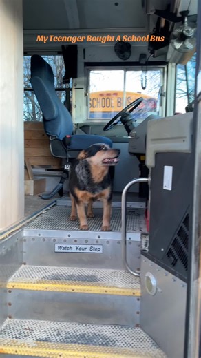 Turning an Old School Bus into an RV: Progress Update