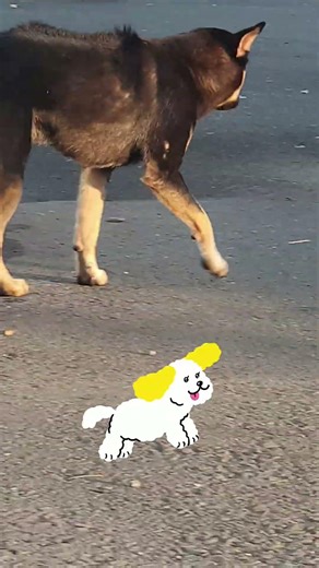 I'm so thirsty, Sen! I don't know where Sen lives, but the dog is here! #TuVanHappyCooking #pets ...