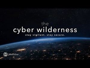 How MetroStar’s Cyber Defenders Protect Innovation in the Cyber Wilderness