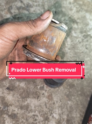 Prado Lower Bush Removal Process Explained