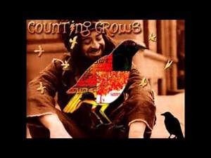 Counting Crows - Four White Stallions