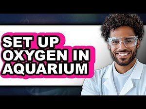 How to Set Up Oxygen in Aquarium - Step By Step