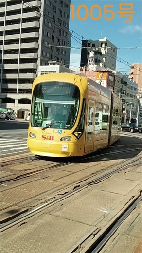 #short 1003号 1005号【路面電車】 広島のステキな路面電車 ＃ひろしま#tram #路面電車 #hiroden＃street car#Japan＃＃9月18日＃朝