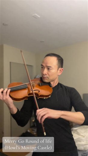 Merry Go Round of Life: Violin Performance Insights