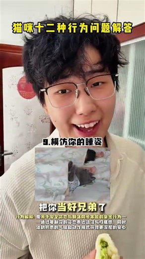 Top 12 Cat Behavior Challenges for New Cat Parents - Solve Them All