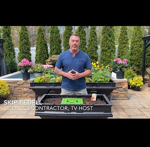 Seeding Square is Vegetable Gardening Made Simple