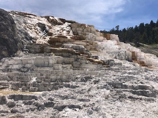 Mammoth Hot Springs Yellowstone: Complete Guide