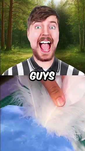 SpongeBob Gets TRICKED😳⛺🐻