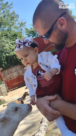 Just some cuties at the zoo! 🥰 #animals #zoo #cute #babies #reels | All The Babies