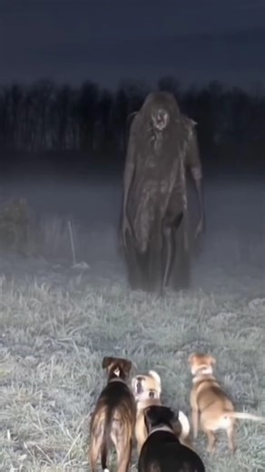 Dogs Spot a Mysterious Alien in the Jungle! 😱🐶👽 #AlienEncounter #DogsVsAlien #JungleHorror