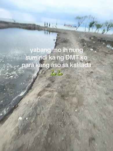 Understanding DMT and Its Cultural Implications