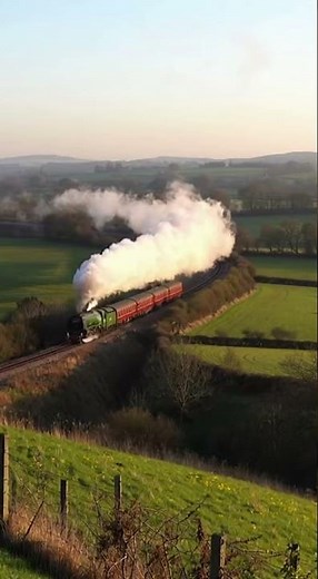 1946 Steam Train Explodes From Tunnel Into Sunlight 🚂✨🌤️ #classictrains #train #paintedtrains