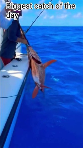 A Perfect Day on the Water: Fishing Vlog 🌊"