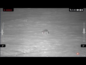 ATN XSight LTV 3-9 and 5-15 Comparison