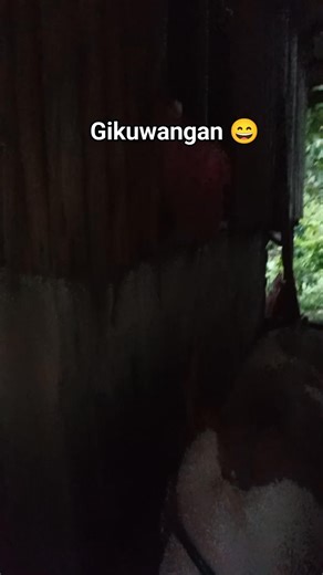 Diet lang sa piggy Kay tingbits pata ron, wapa man muabot ang gipaabot 😄🤣 #Betsypig #feedingtime #stressreliever #fypageシ | Renalyn Dela Cruz