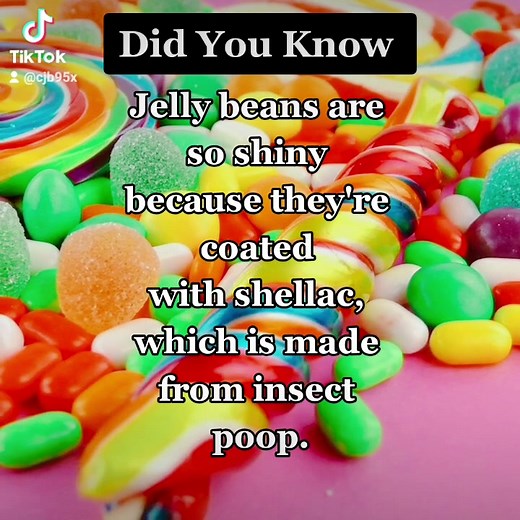 Fascinating Fun Facts About Jellybeans and Shellac Candy