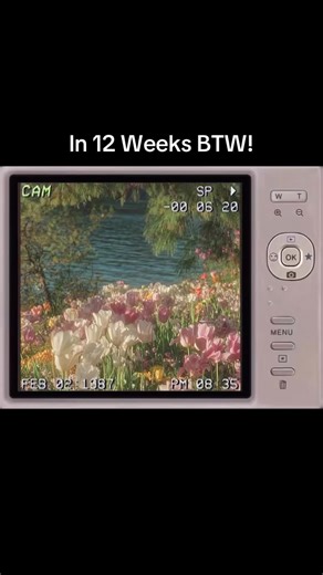 Spring is just 12 weeks away!! 🌸🌺🌷🌼 #spring #springtok #springdiy #viral #blowthispostup