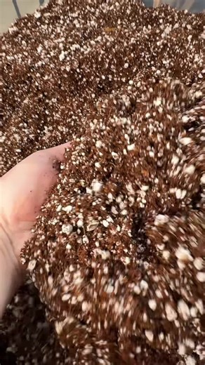 Discover the Benefits of Compressed Coco Coir Bricks