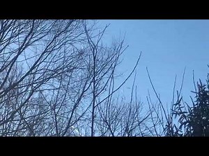 (Amazing Sound) Beech C35 Bonanza flying overhead