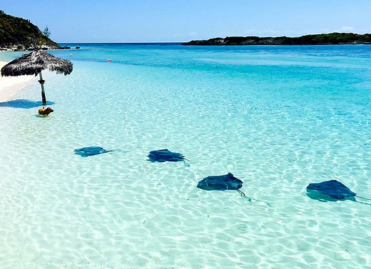Las 20 mejores playas de las Bahamas que debes visitar