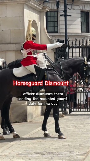 Horseguard Dismount #horse #royal #history #royalhorseguard