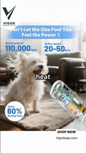 Upgrade your grooming routine with the Hands-Free High-Velocity Pet Hair Dryer