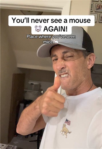 Effective Mouse Repellent Pouches for Your Home