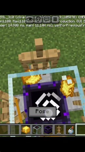 Minecraft Tik Tok hack