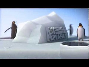 Animal Planet Rebrand