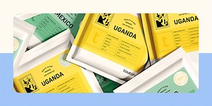 Touton Specialty Coffee | Branding & Illustration