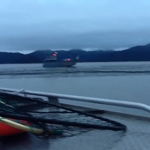 Parking error… | Boat Fails and Chaos